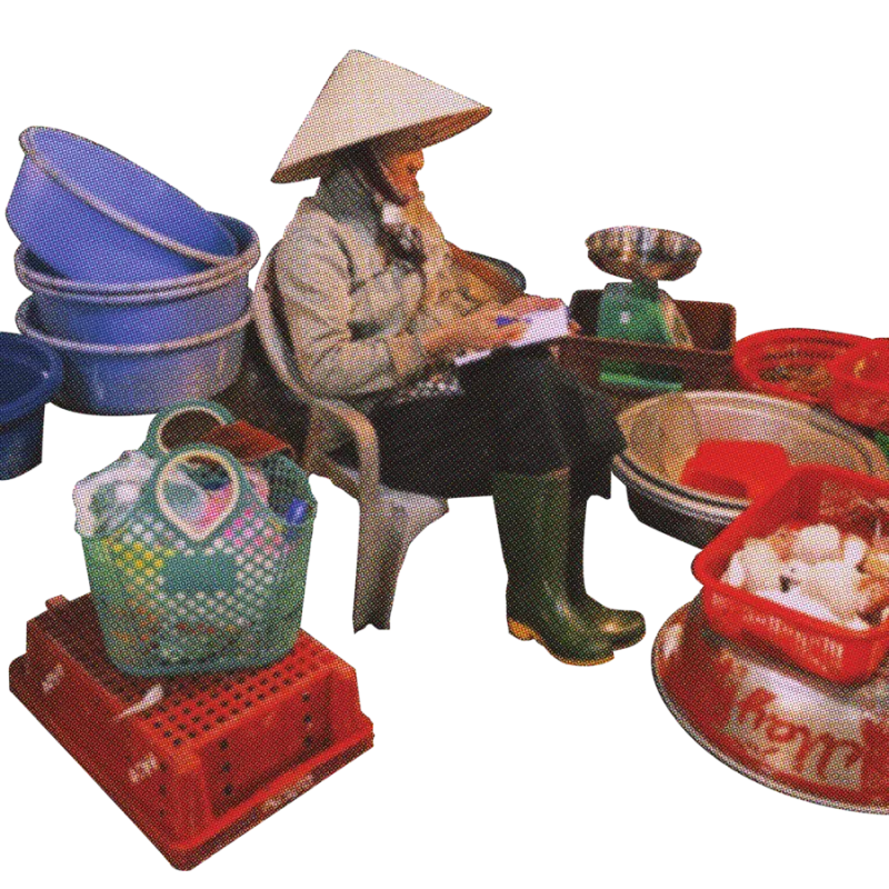 Cô bán hàng đội nón lá giữa thau chậu nhựa ở chợ